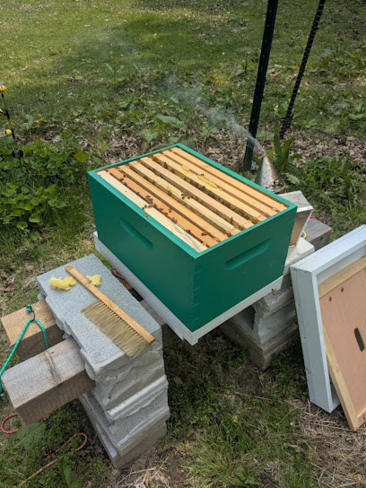 Utter Bliss Apiary