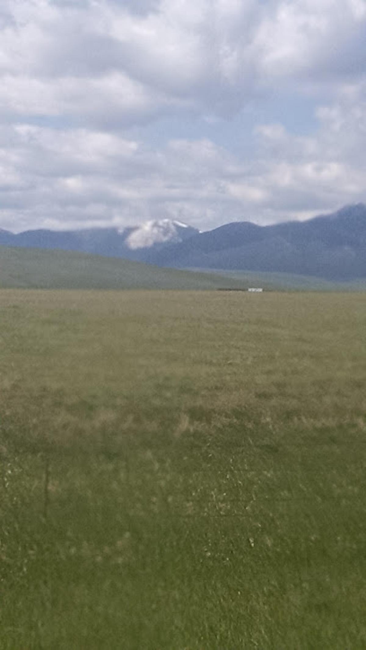 Wolf Creek Honey Co.