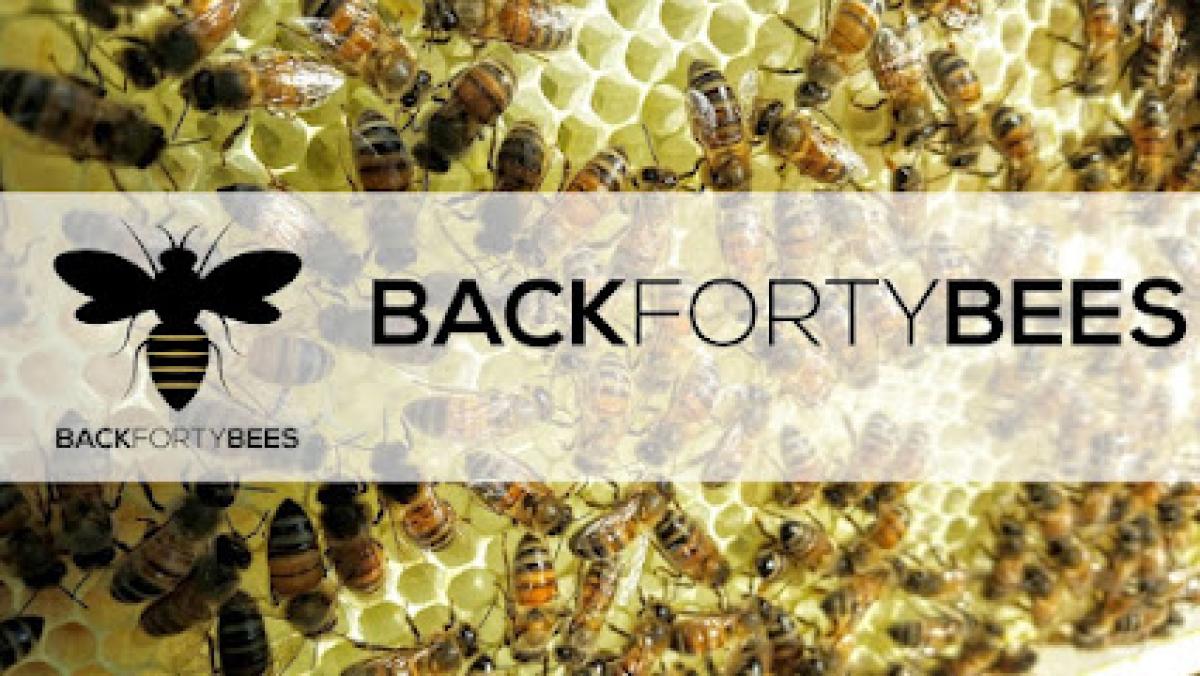 Back Forty Bees