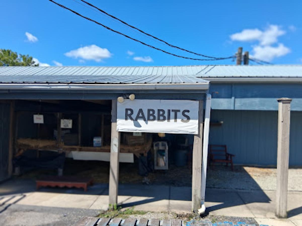Ashcombe Farm and Greenhouses