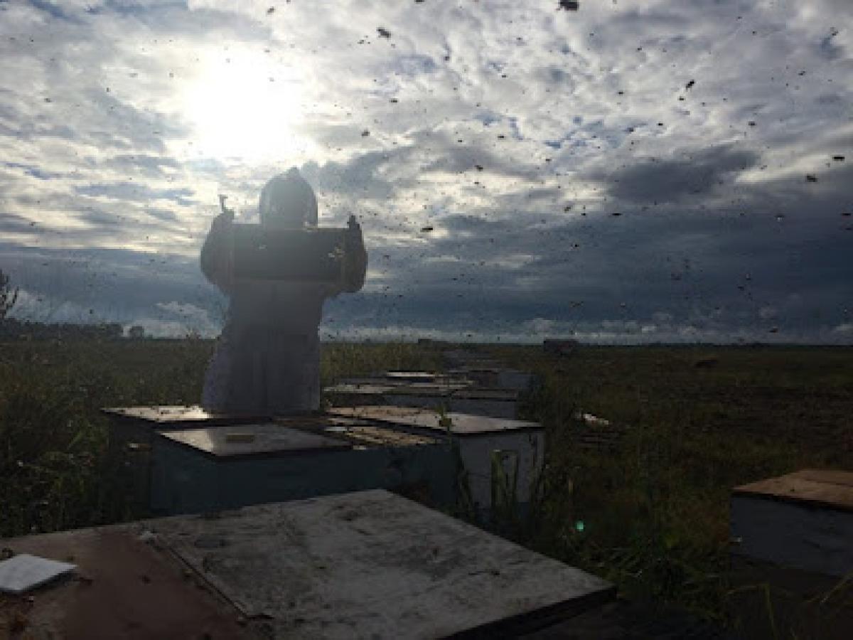 Burnley Farm Apiary, LLC