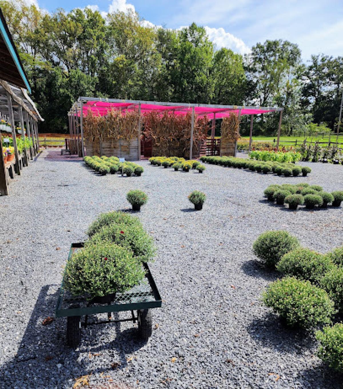 Gambrills Flower Farm