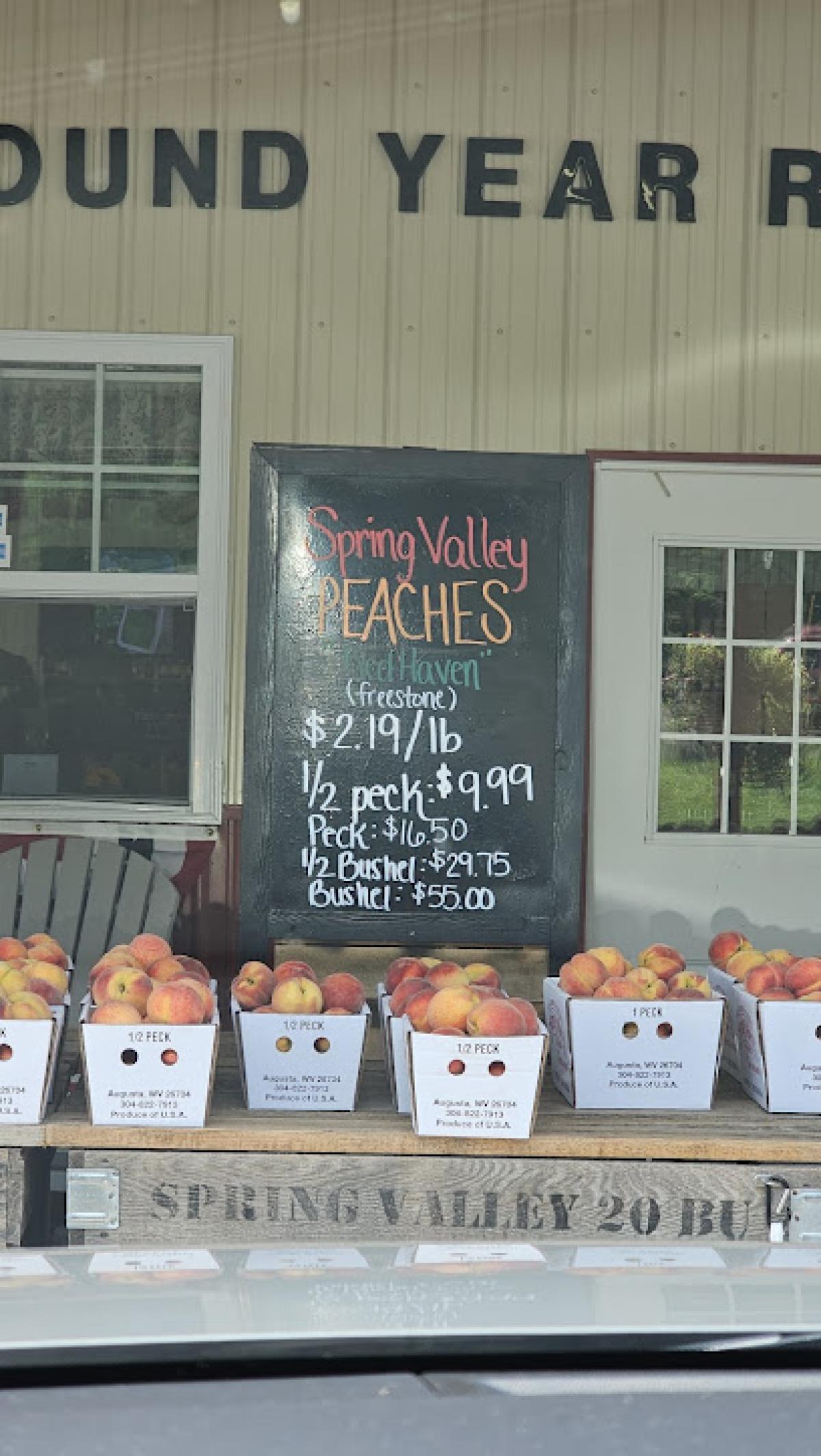 Spring Valley Farm Market- Romney