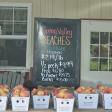 Spring Valley Farm Market- Romney