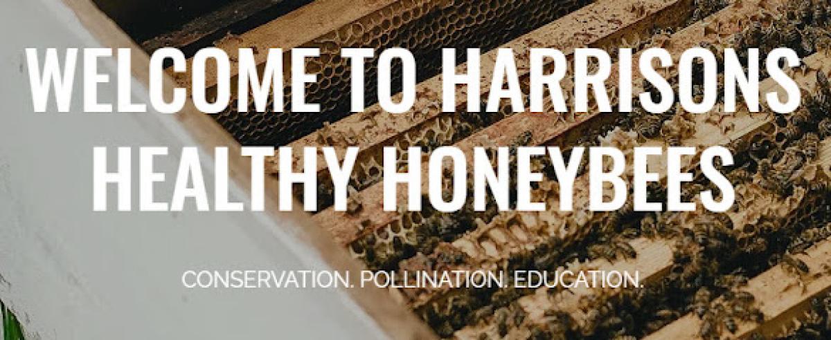 Harrisons Healthy Honeybees