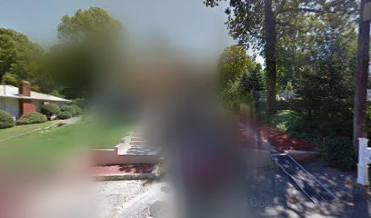 Scotts Apiary and Farm