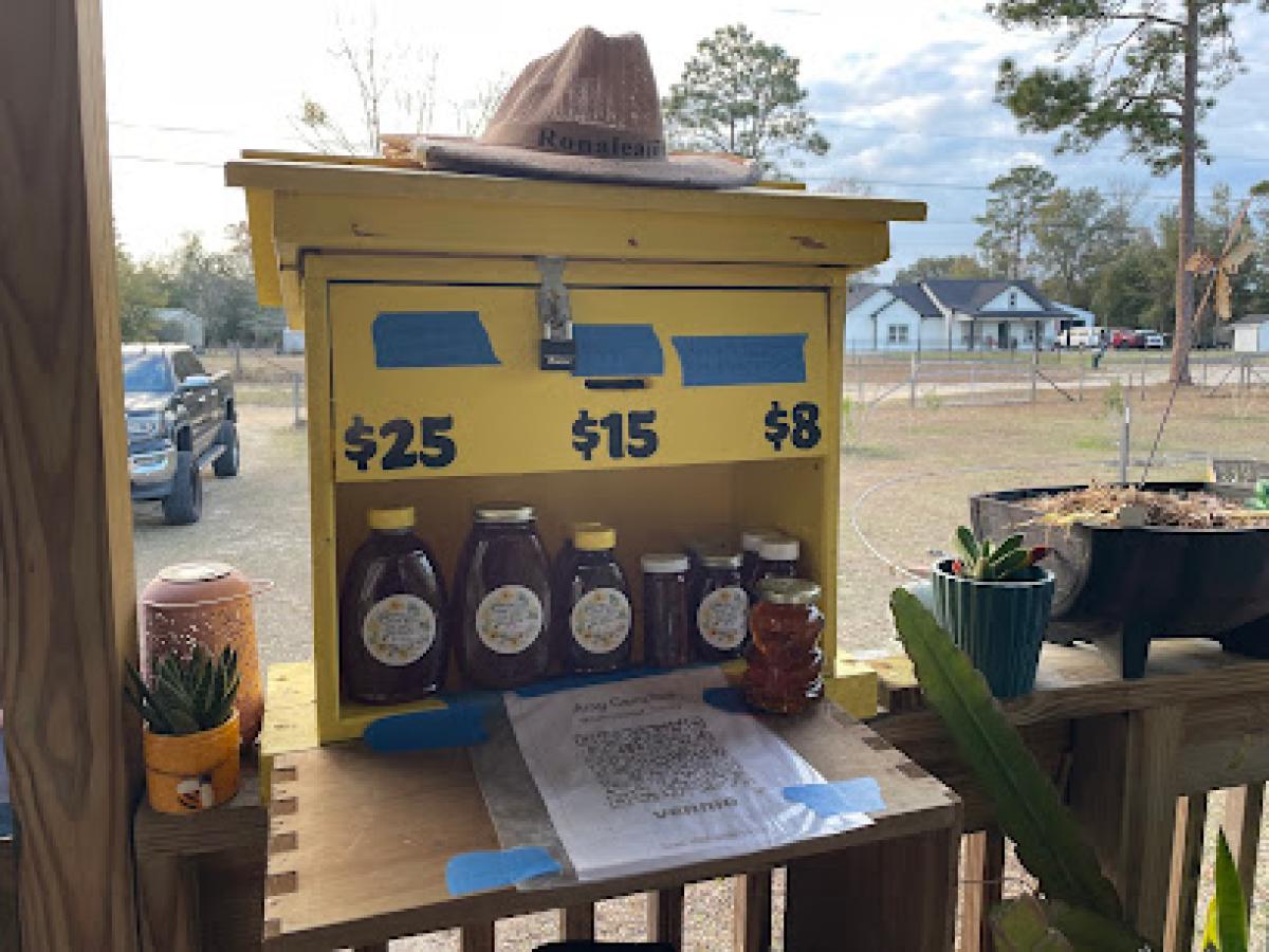 Campbellot Honey Bees