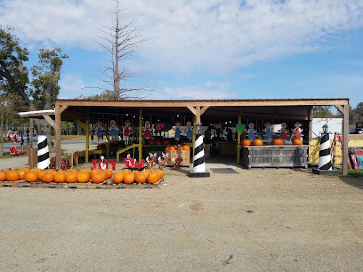 Country Fruit Stand #3