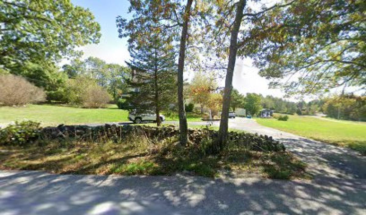 All Things Honey & More