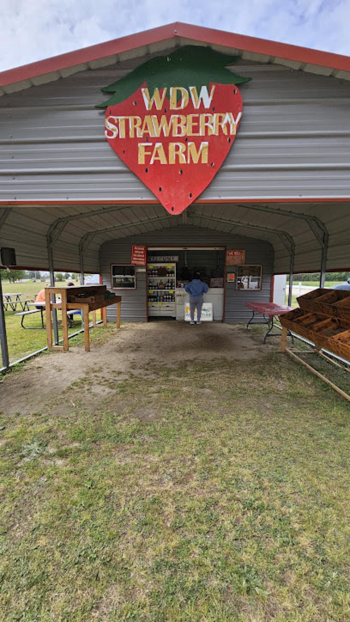WDW Strawberry Farm & Roadside Stand