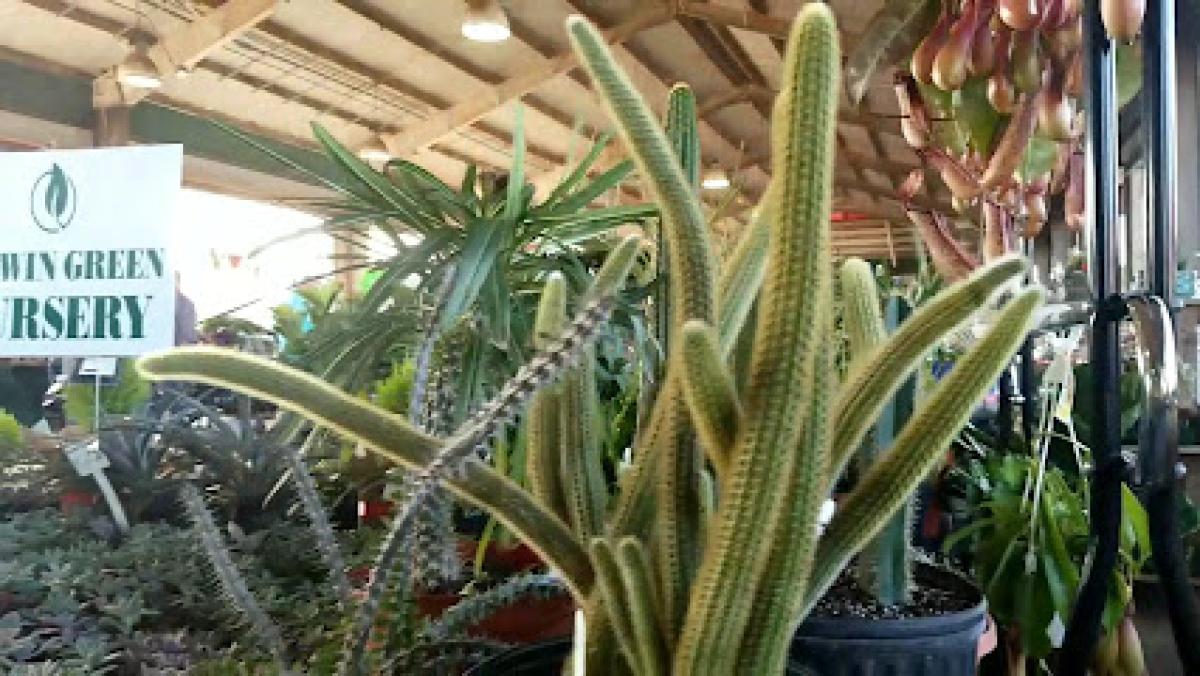 State Farmers Market