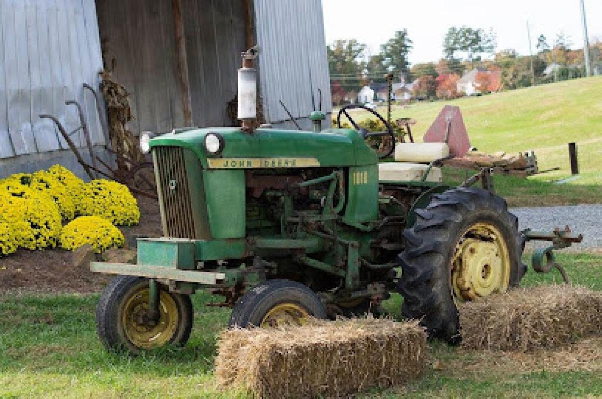 The Family Farm on Avent Ferry