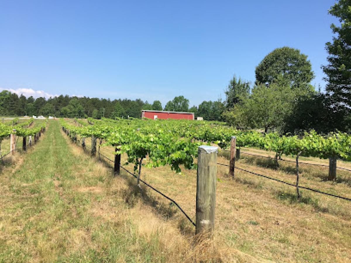 Honey Strong Bee Store and Bee Supply