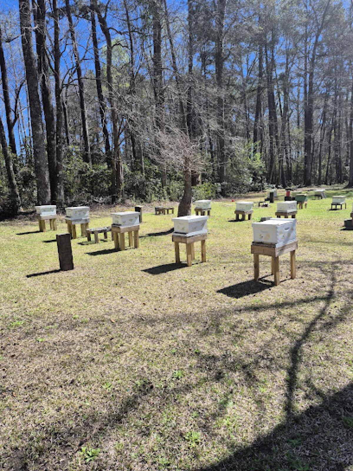 Macri Honey Bee Farm, LLC