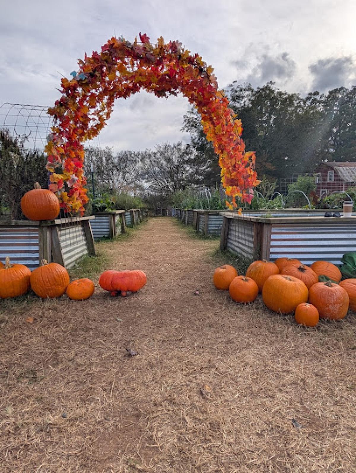 Hodges Family Farm & Pumpkin Patch - main location