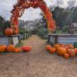 Hodges Family Farm & Pumpkin Patch - main location