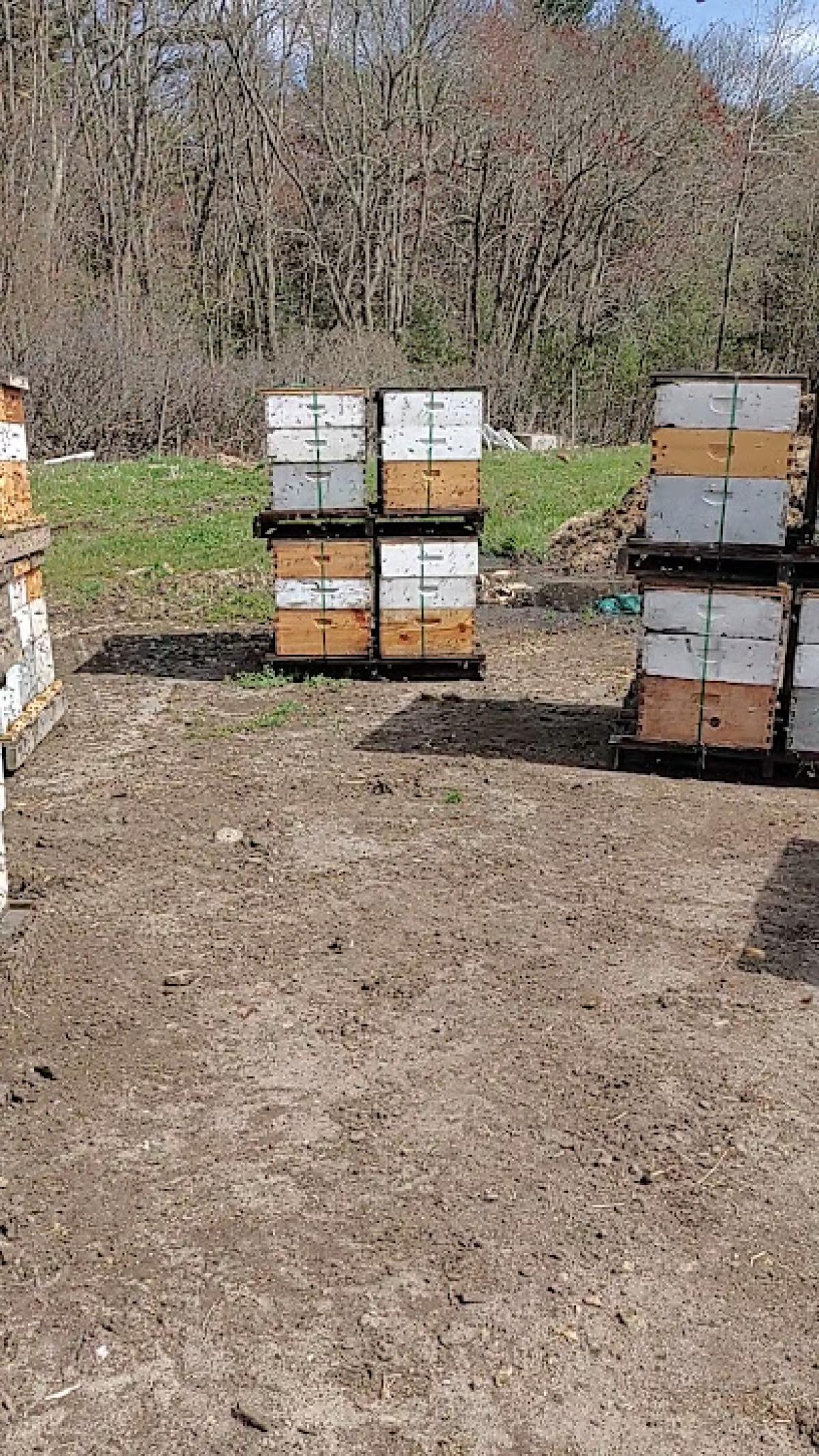 The B Farm - Merrimack Valley Apiaries