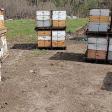 The B Farm - Merrimack Valley Apiaries