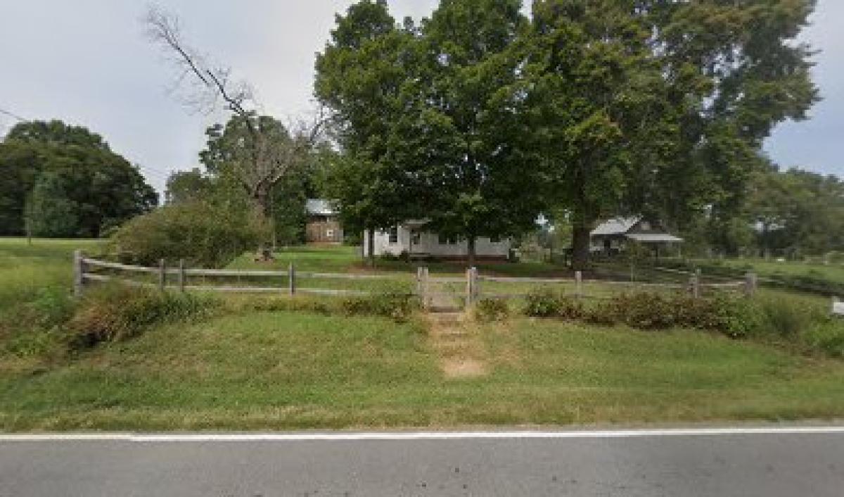 Bees and Birddogs Co