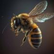 ECONOMY BEE SERVICE LLC