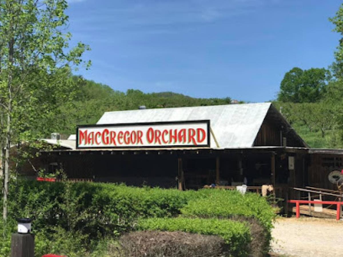 MacGregor Orchard