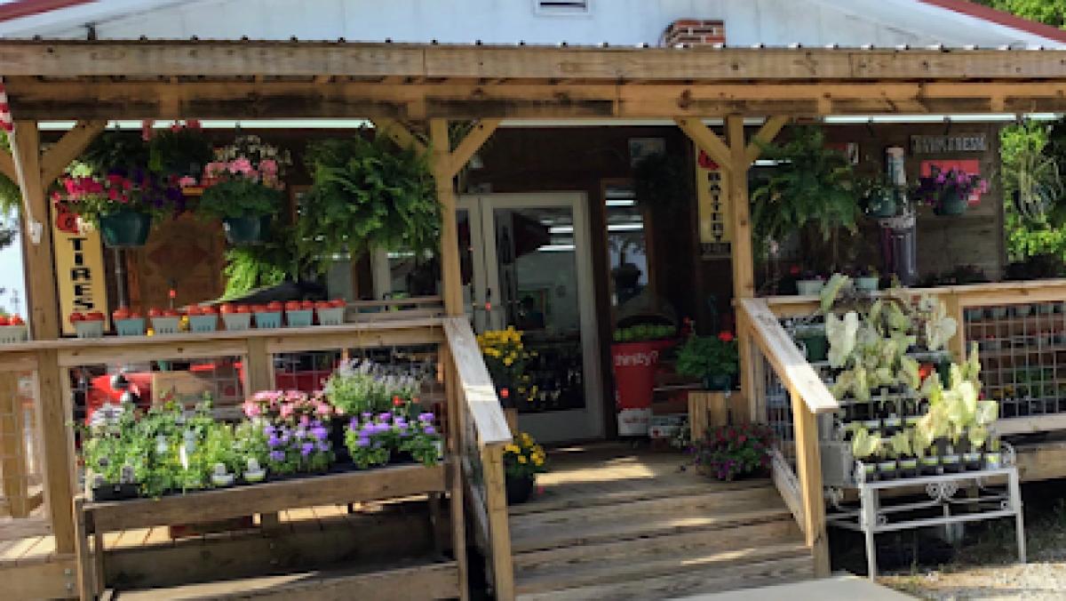 Farm Fresh Pickin’s