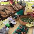 Cotton Mill Farmers Market