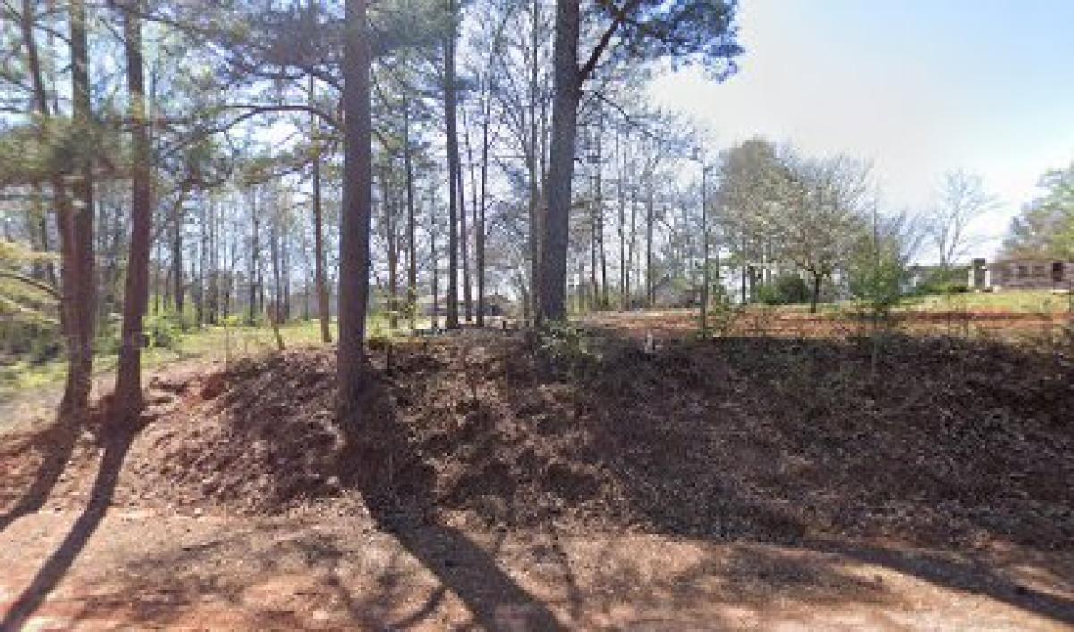 Booger Hill Bee Company, LLC