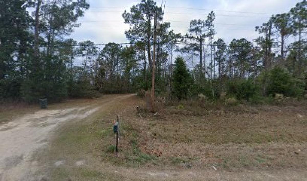 Holly Jones Honey Farm