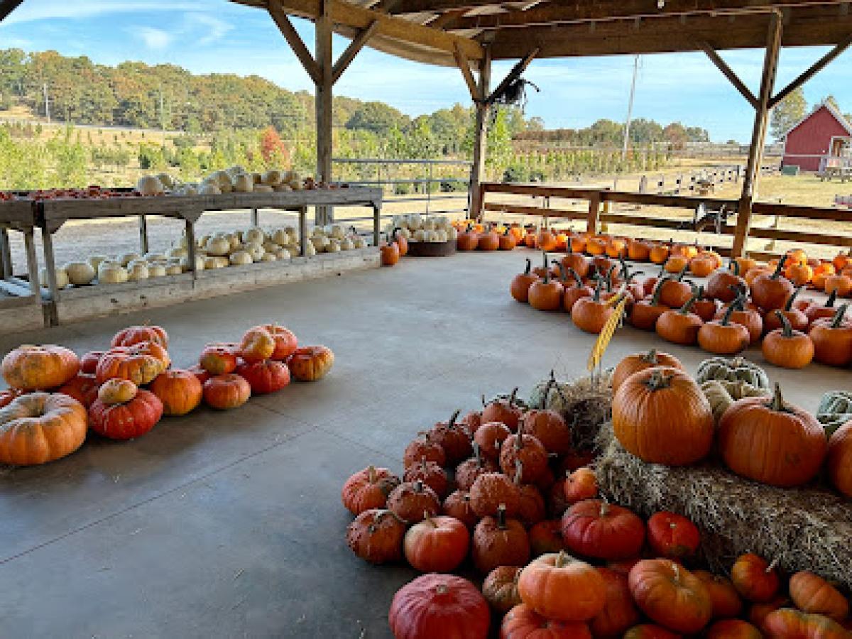 The Kinsey Family Farm