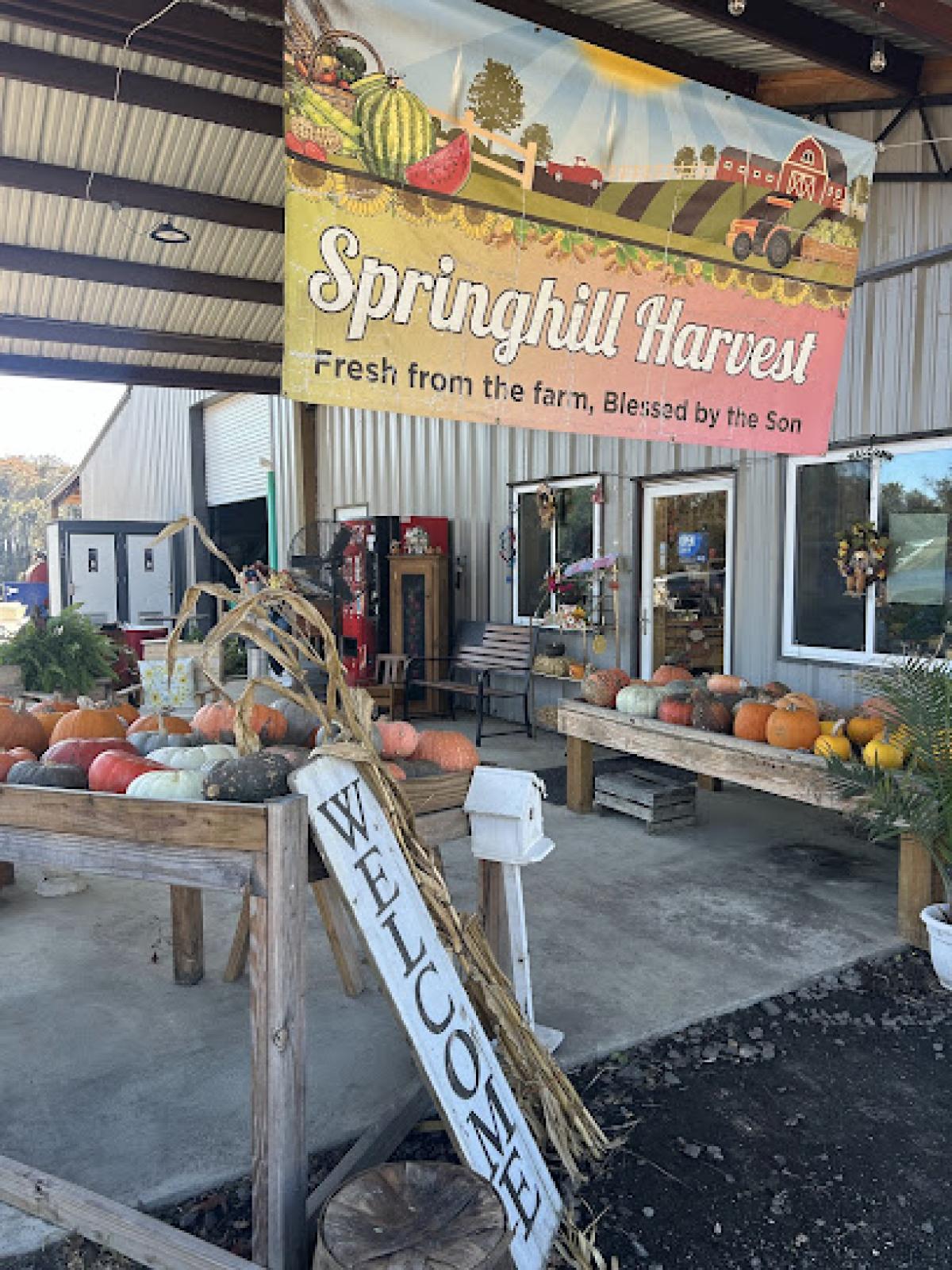 Springhill Harvest