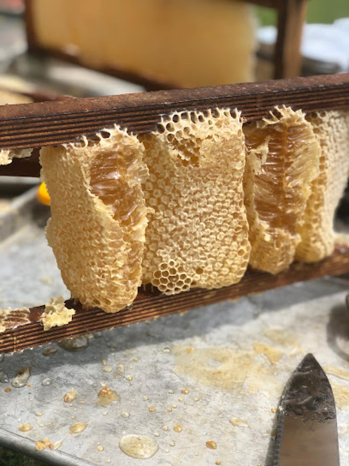 Local Honey
