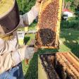Berto & Ana’s Honey Farm