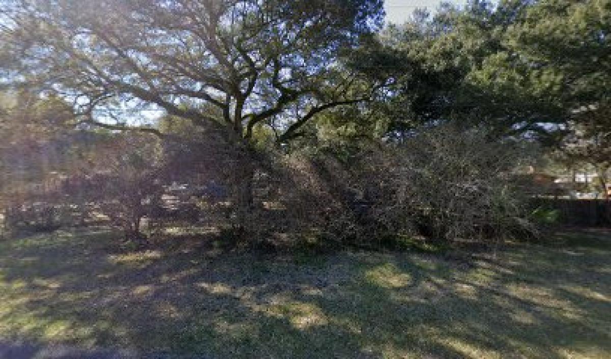 Golden Harvest Bee Farm