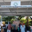 Alachua County Farmers' Market