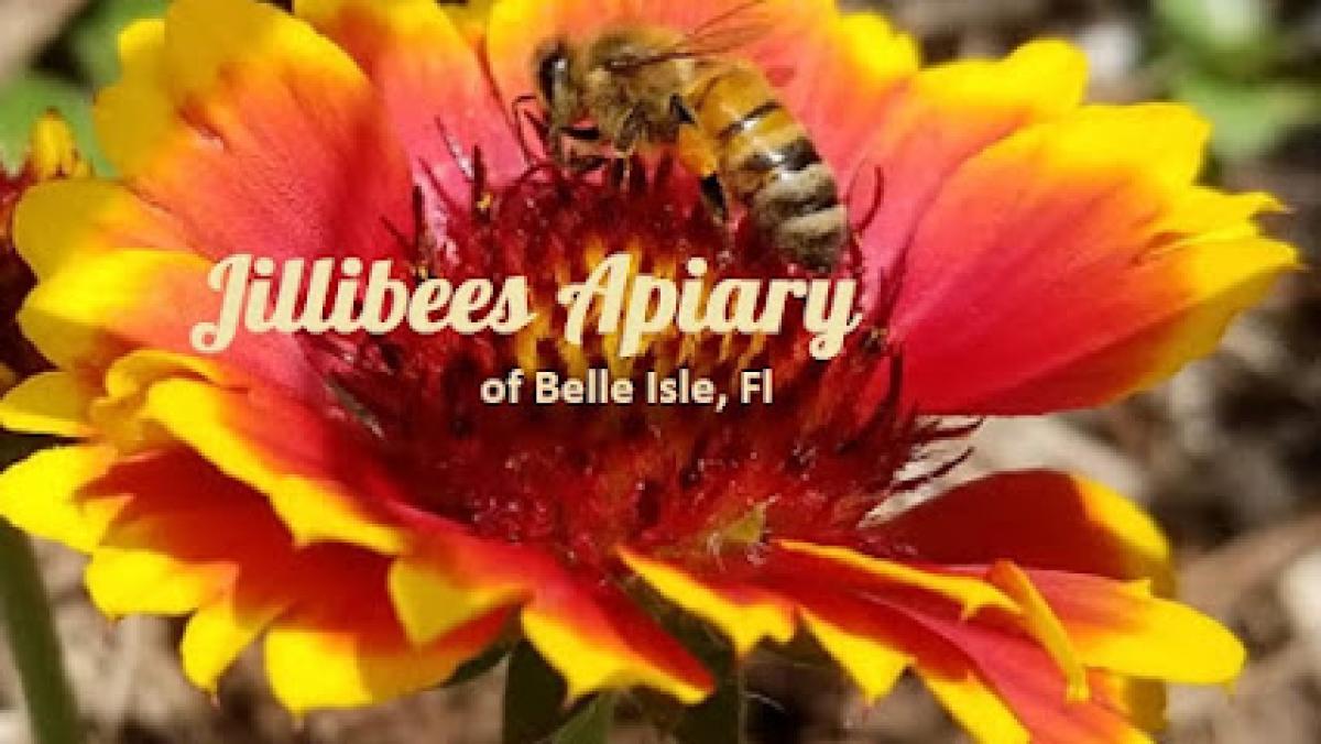 Jillibees Apiary