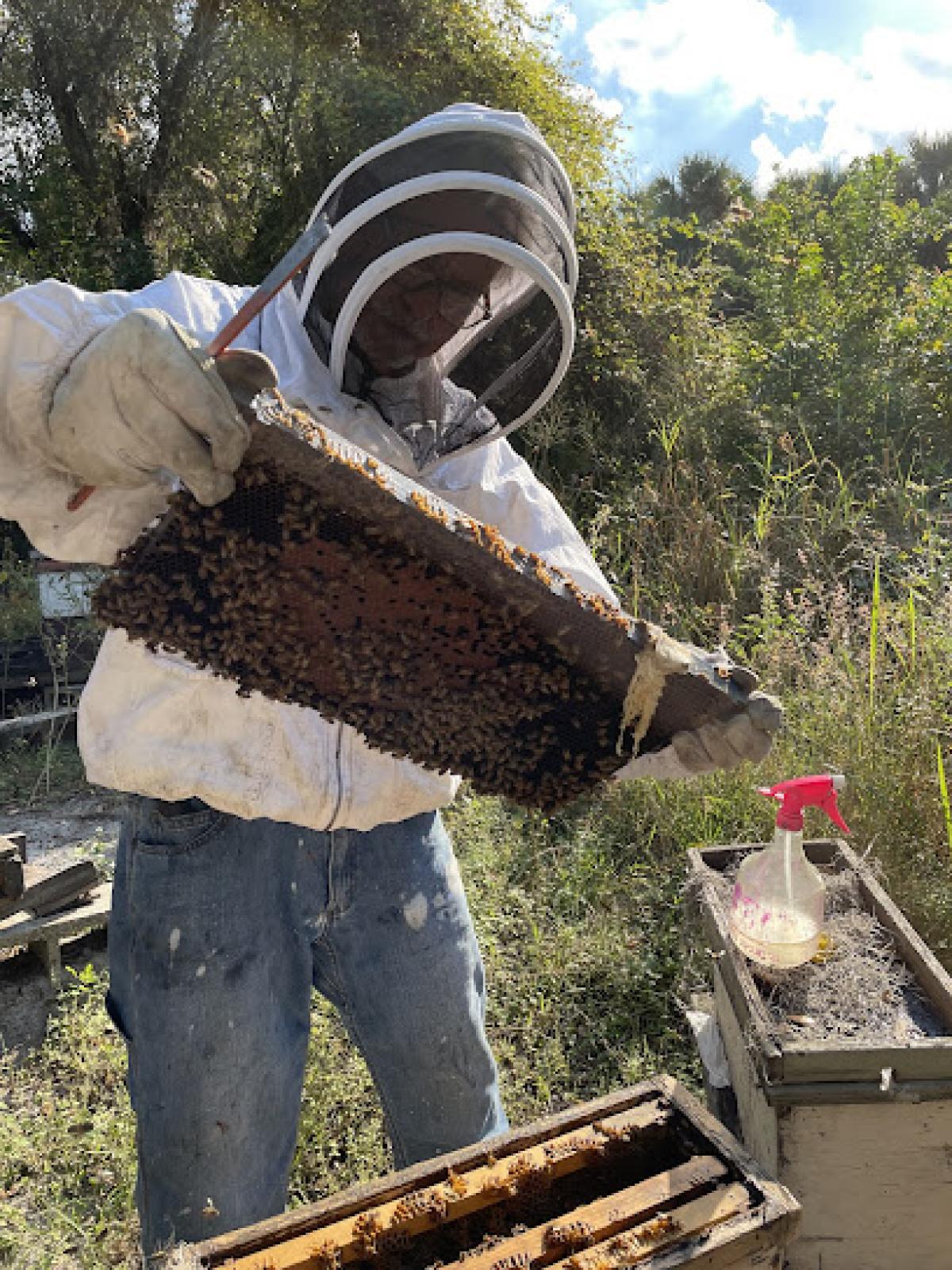 Tom's Honey Farm LLC