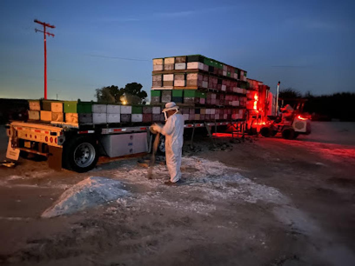 New England Apiaries LLC & Billy C’s Raw Honey