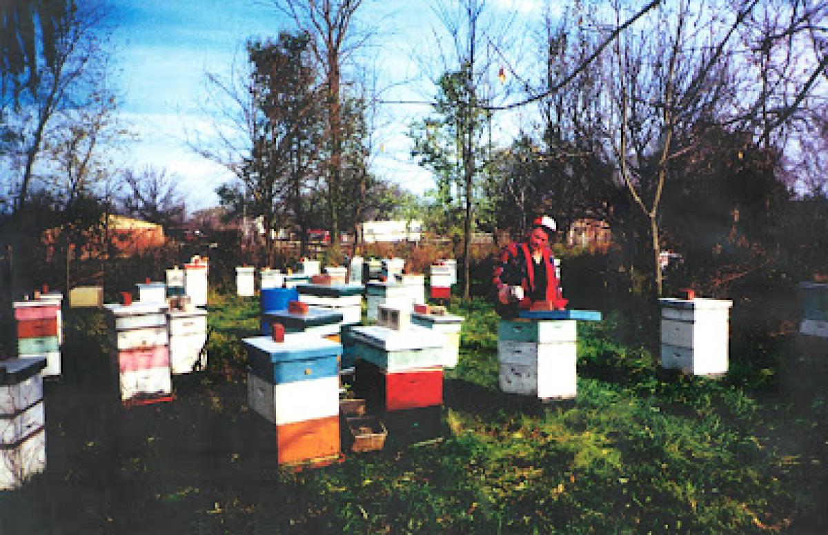 PaPa's Natural Honey