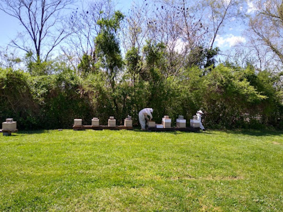 Sims Honey and Bee Farm