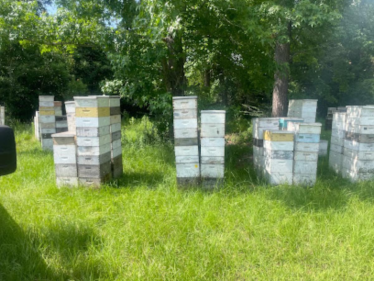 Smith’s Honey Farm