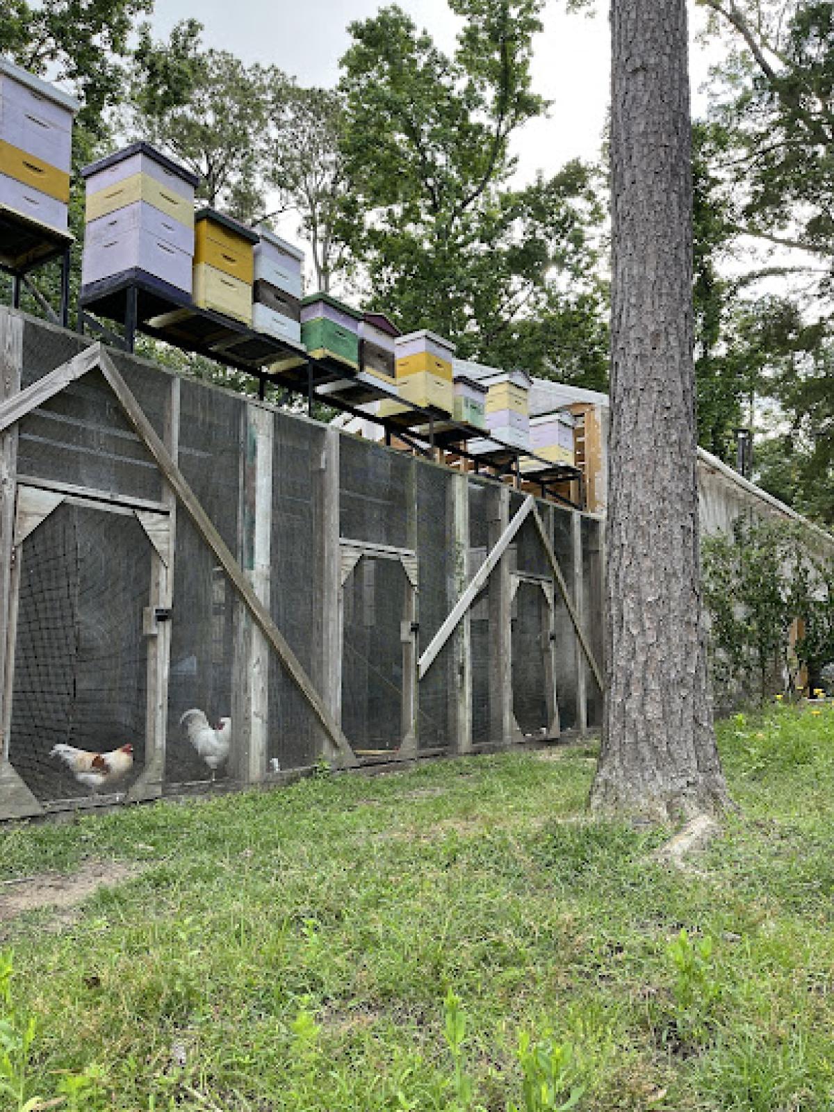 Big Branch Apiary, LLC