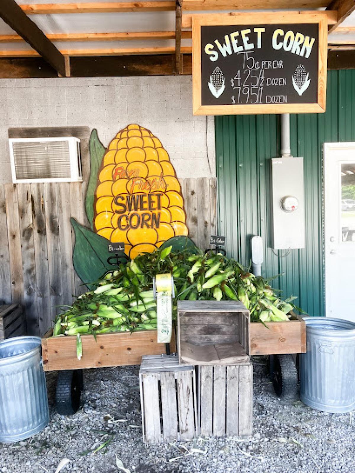 Bayer's Melon Farm Market