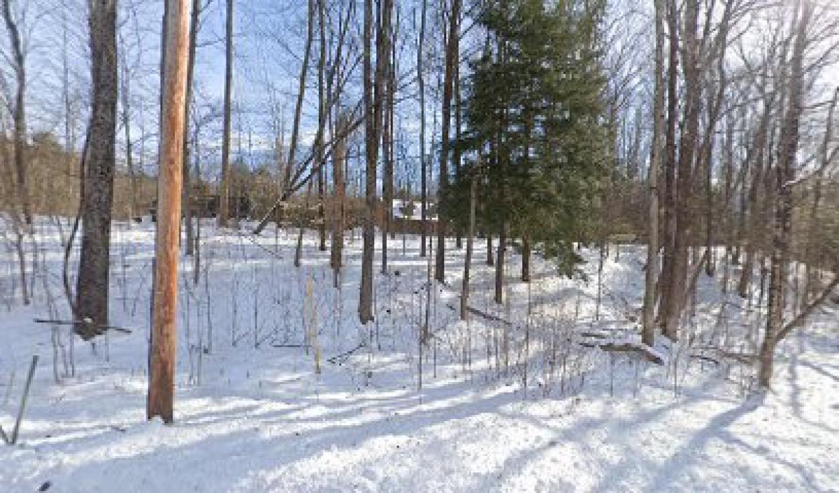 Pleasant Valley Apiary