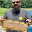Doug's Backyard Bees