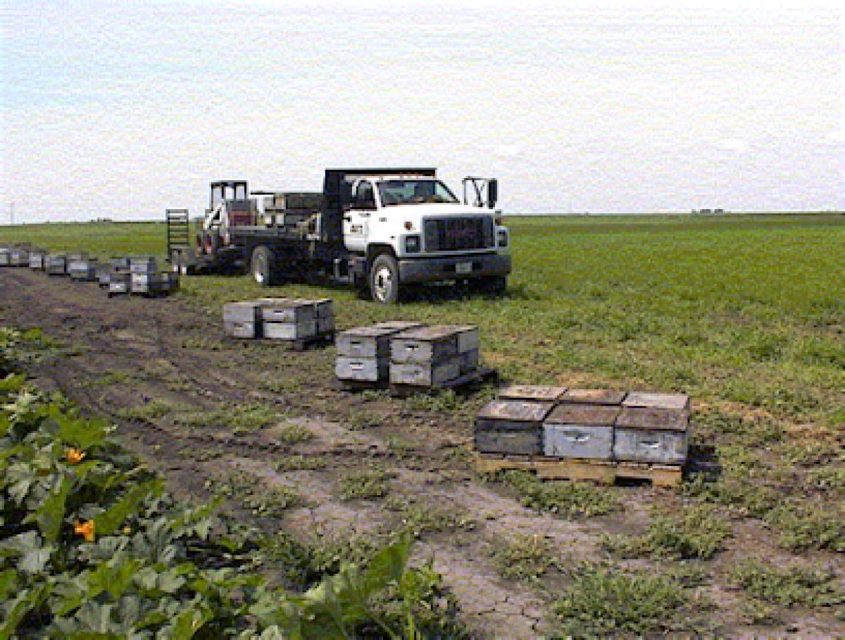 Hansen Honey Company