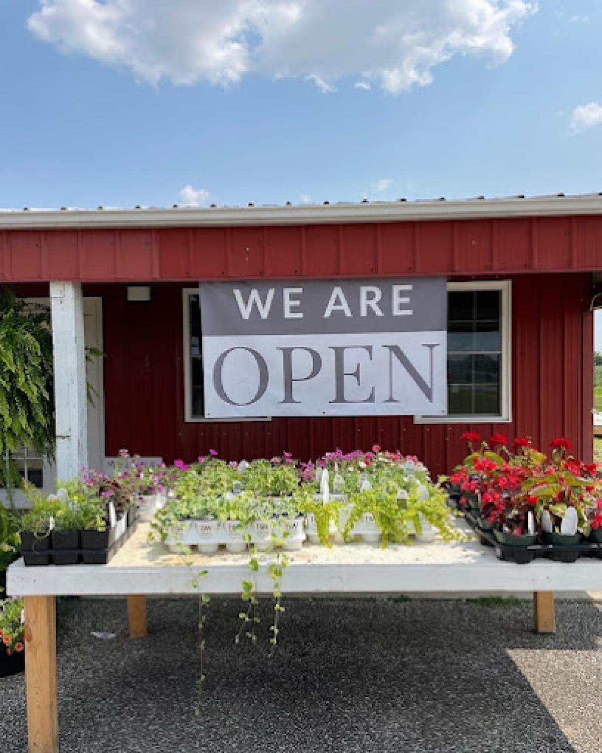 Burley's Harvest Market