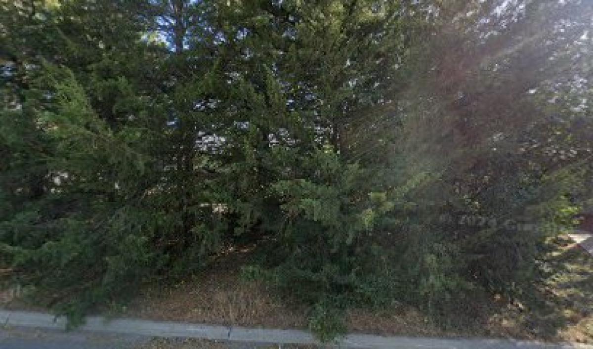 Dakota Honey Company