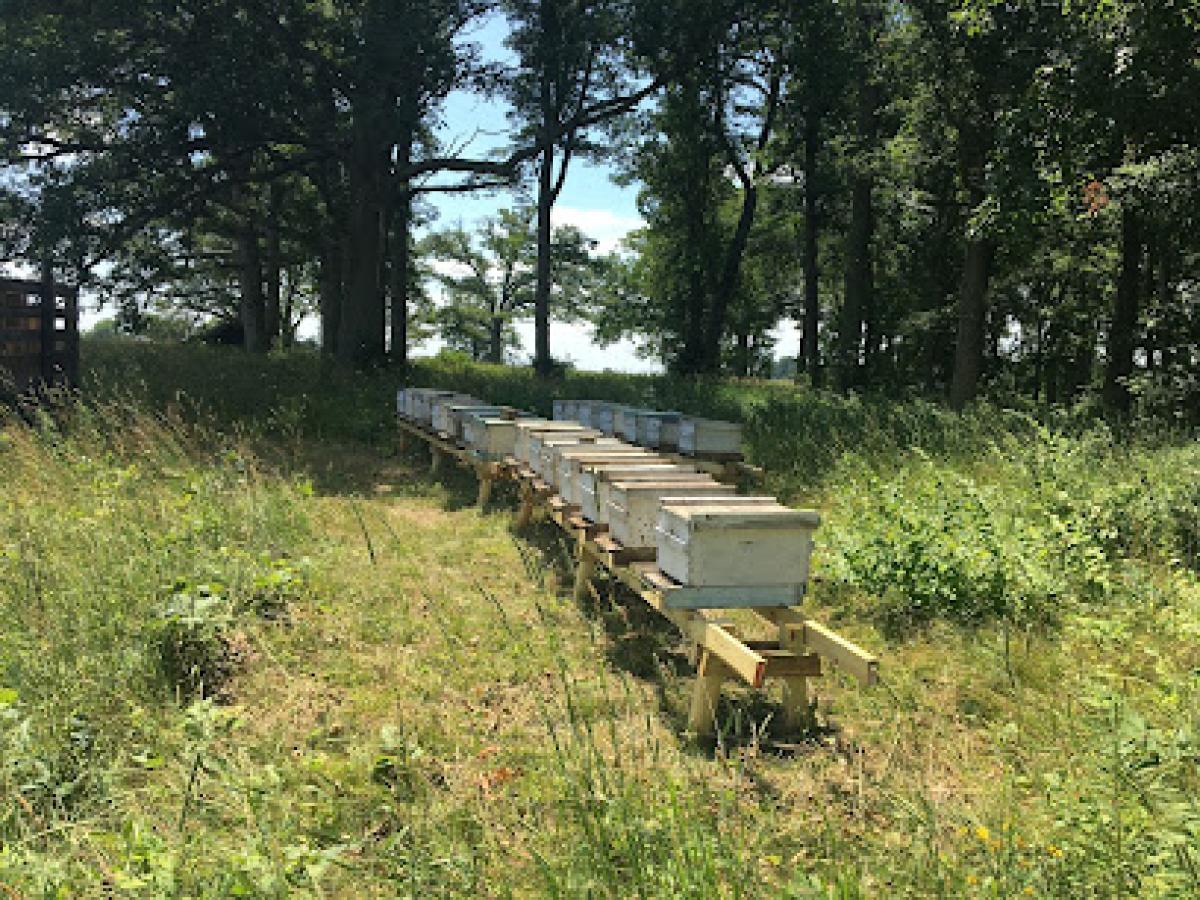 Combs Bee Farm