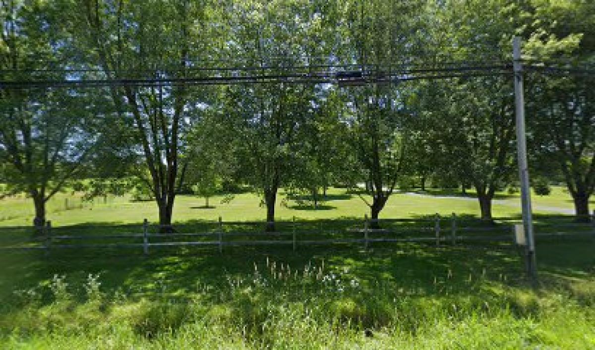 The Mostar Honey Company